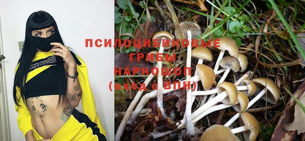 apvp Бугульма