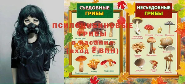прущая мука Бронницы