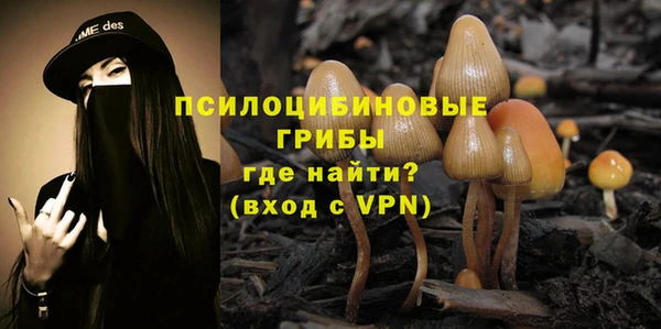 apvp Бугульма