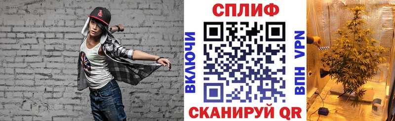 Конопля сатива  Нижний Новгород 